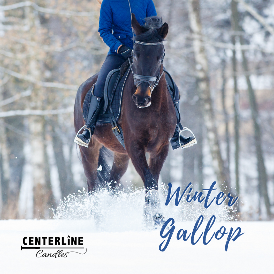 Winter Gallop